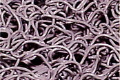 除菌マット ケミタングルFBの表面形状