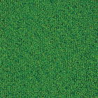 ニュートレビアンの断面形状の規格色（緑色）